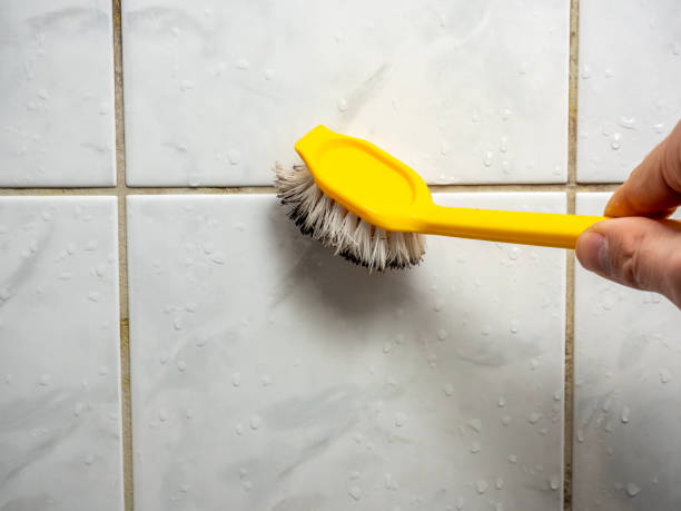 Best Certified Mold Removal  in Flourtown, PA
