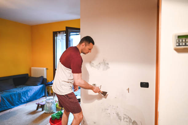 Professional Mold Removal in Flourtown, PA